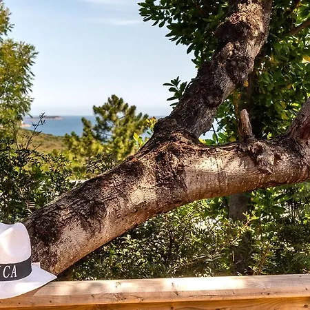 Campeggio En Ou Mobil-home Chez Camp'in Pirellu